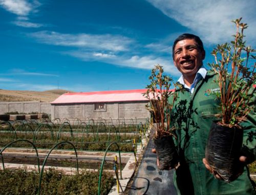 antapaccay-trabajo