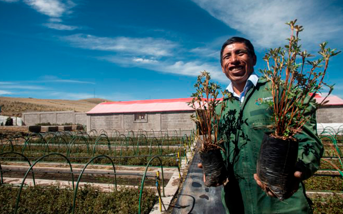 antapaccay-trabajo