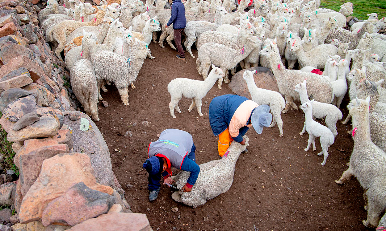 southern-peru