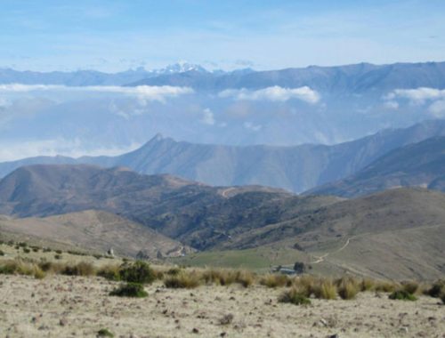 Condor Resources