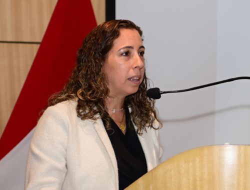 Minería