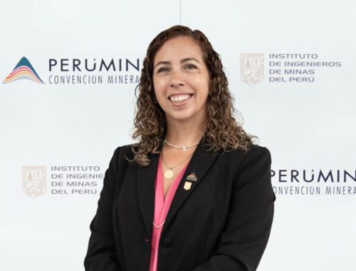 PERUMIN 37