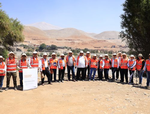 proyecto Zafranal