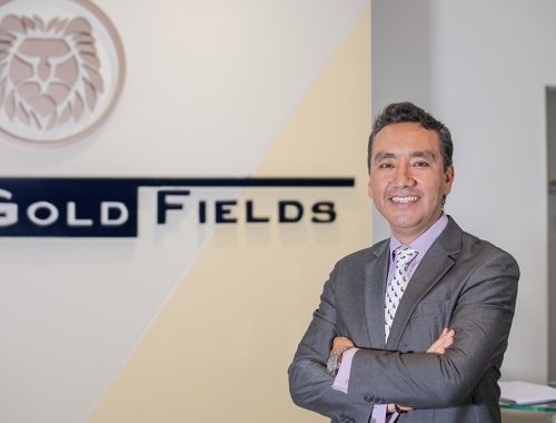 Gold Fields