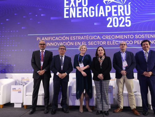 Especialistas advierten desafíos regulatorios de la Ley N° 32249 para generadores, distribuidoras y consumidores