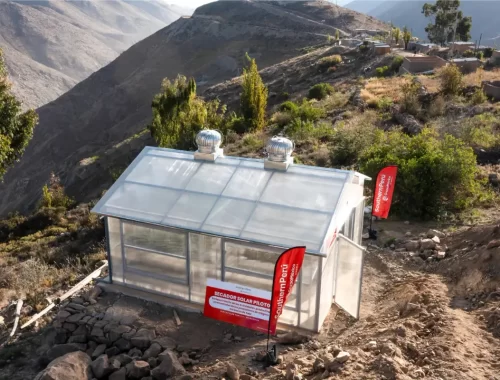 Southern Perú impulsa tecnología agrícola para productores de orégano en Torata