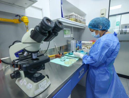 16 hospitales del Minsa y Essalud cuentan con gas natural