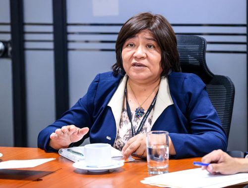 Iris Cárdenas regresa al Viceministerio de Hidrocarburos