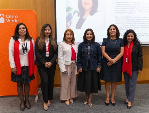 Programa de Mentoring de WIM Perú consolida su expansión internacional alcanzando a más de 1,000 participantes